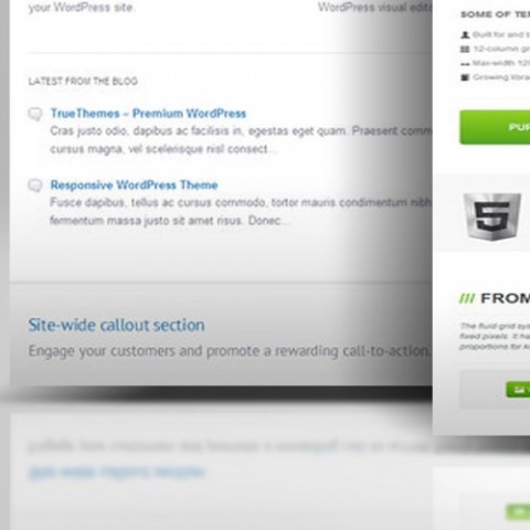 Snippet of Company Jobs Pages